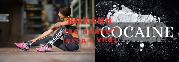 дживик Козловка