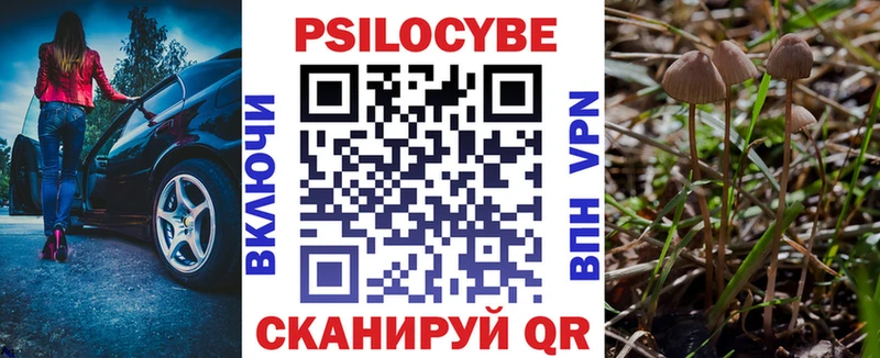 Купить закладки  Валдай  Псилоцибиновые грибы Magic Shrooms 
